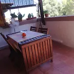 Lucianasit Cugnana Verde